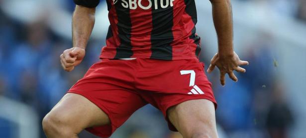 爱游戏-关于布莱顿训练开放日；冲刺阶段内部沟通引欢呼；足总杯在即；年轻球员得到机会的信息