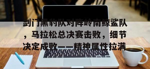爱游戏体育-剑门黑豹队对阵岭南鲸鲨队，马拉松总决赛击败，细节决定成败——精神属性拉满(2024年广元马拉松)