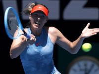 爱游戏体育- 莎拉波娃个人简介 