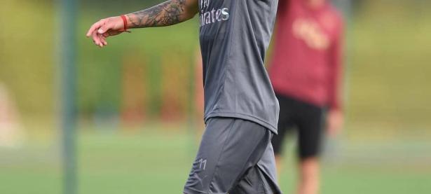 AYX-败北首场状态出色，阿森纳观众沸腾！，Ming重返赛场引发球迷热议(人与野兽大战引发的社会讨论)