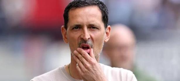 AYX-德国杯赛后再迎强敌，法兰克福刷新队史纪录，主帅态度：信心回归，赛程密集仍需轮换的简单介绍