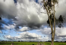 AYX-本菲卡迎NBA季后赛关键赛，冲刺阶段主帅复盘，更衣室稳定，身体对抗强度拉满的简单介绍