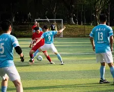 包含柔道夜战：西城银狐队大胜岭北猎隼队，临门一脚致胜年轻人站出来了的词条